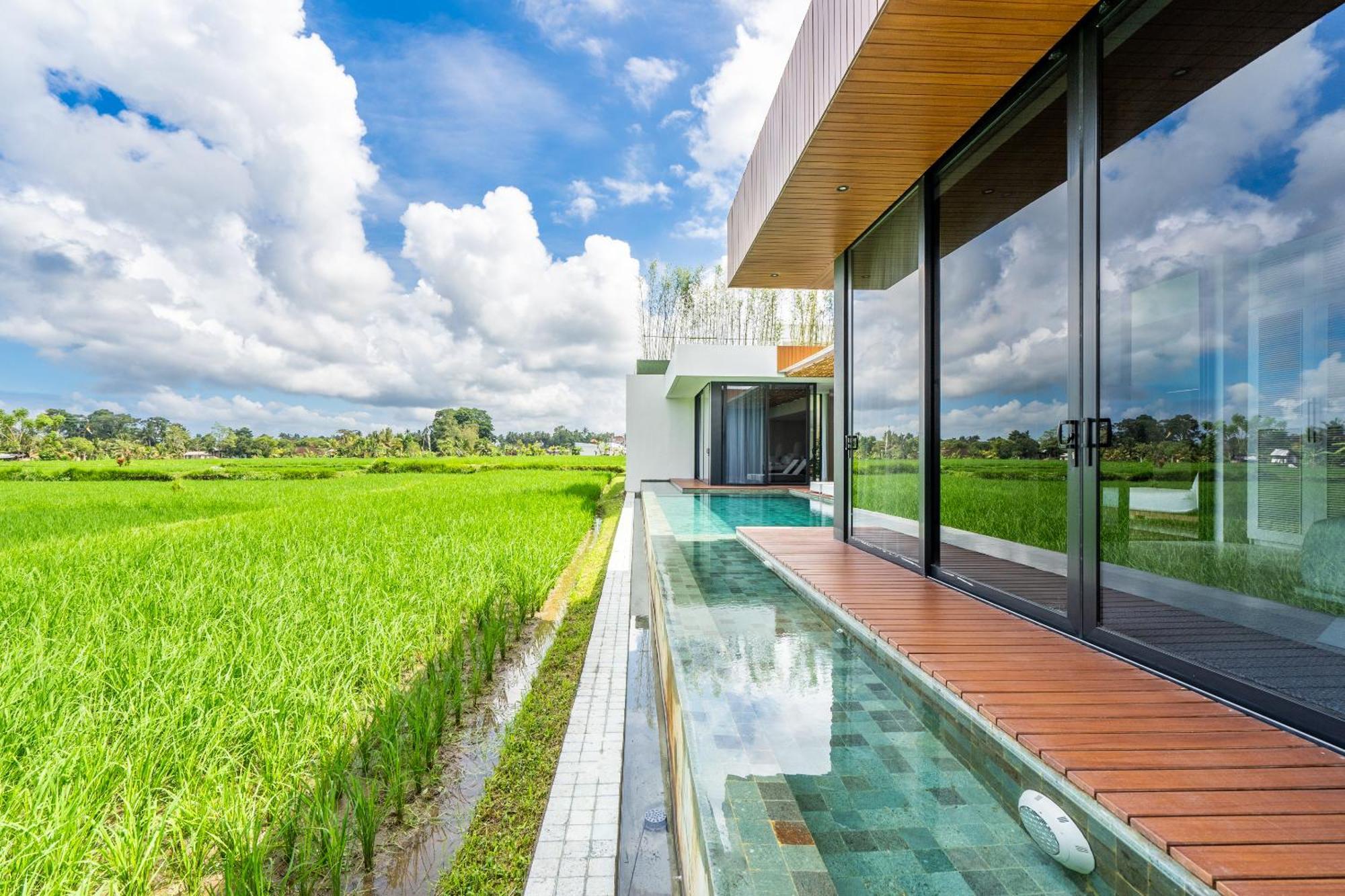 Flow I Ubud (Bali)