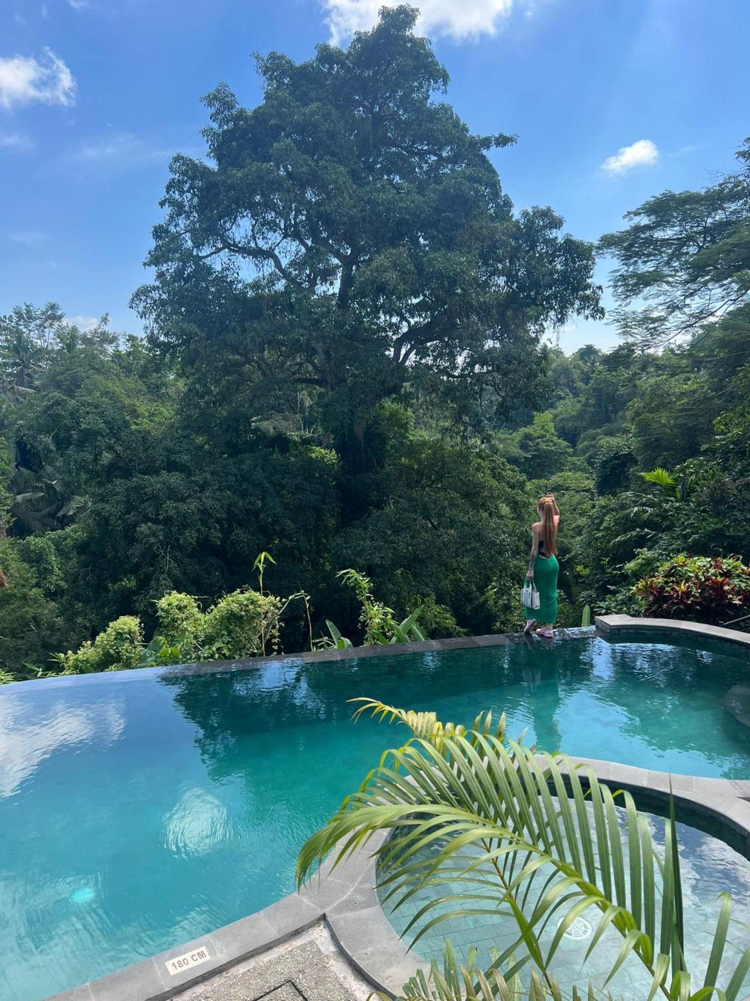 Dedari Holiday park Ubud (Bali)
