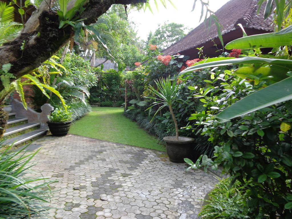 Klub Kokos Taman liburan