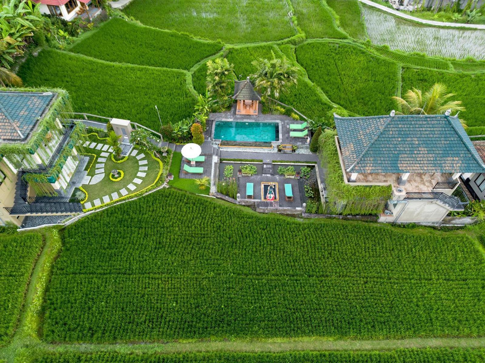 Cahaya