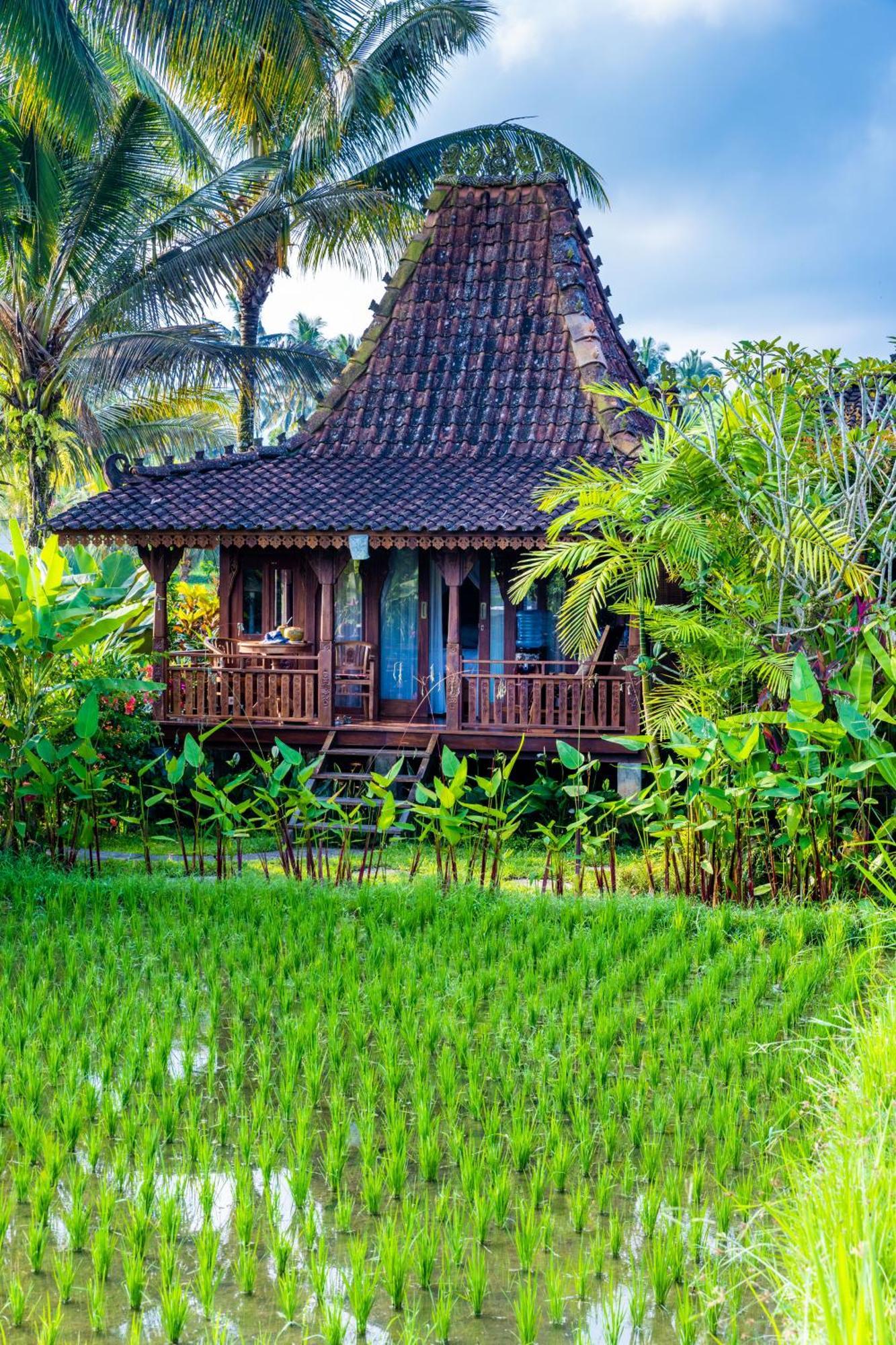 Neyang Villa