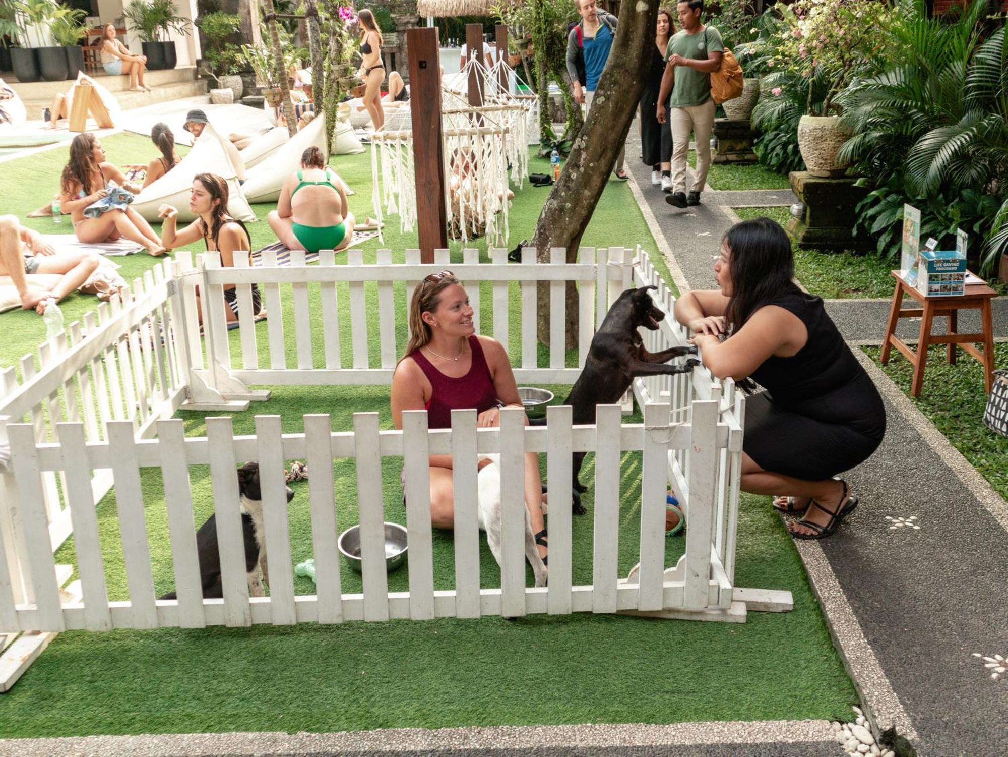 Puri Garden Hotel&hostel Ubud
