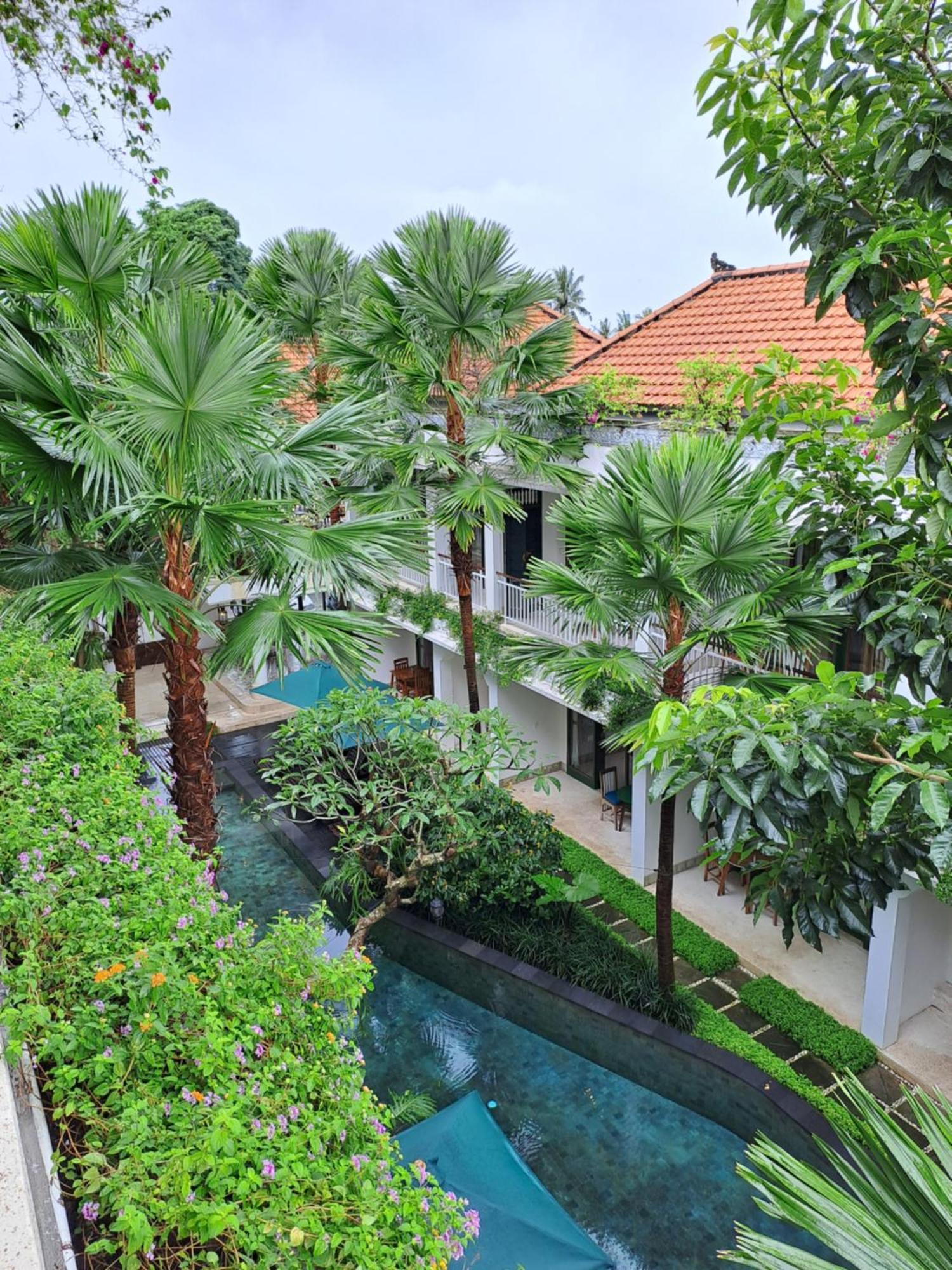 Hotel Sabana