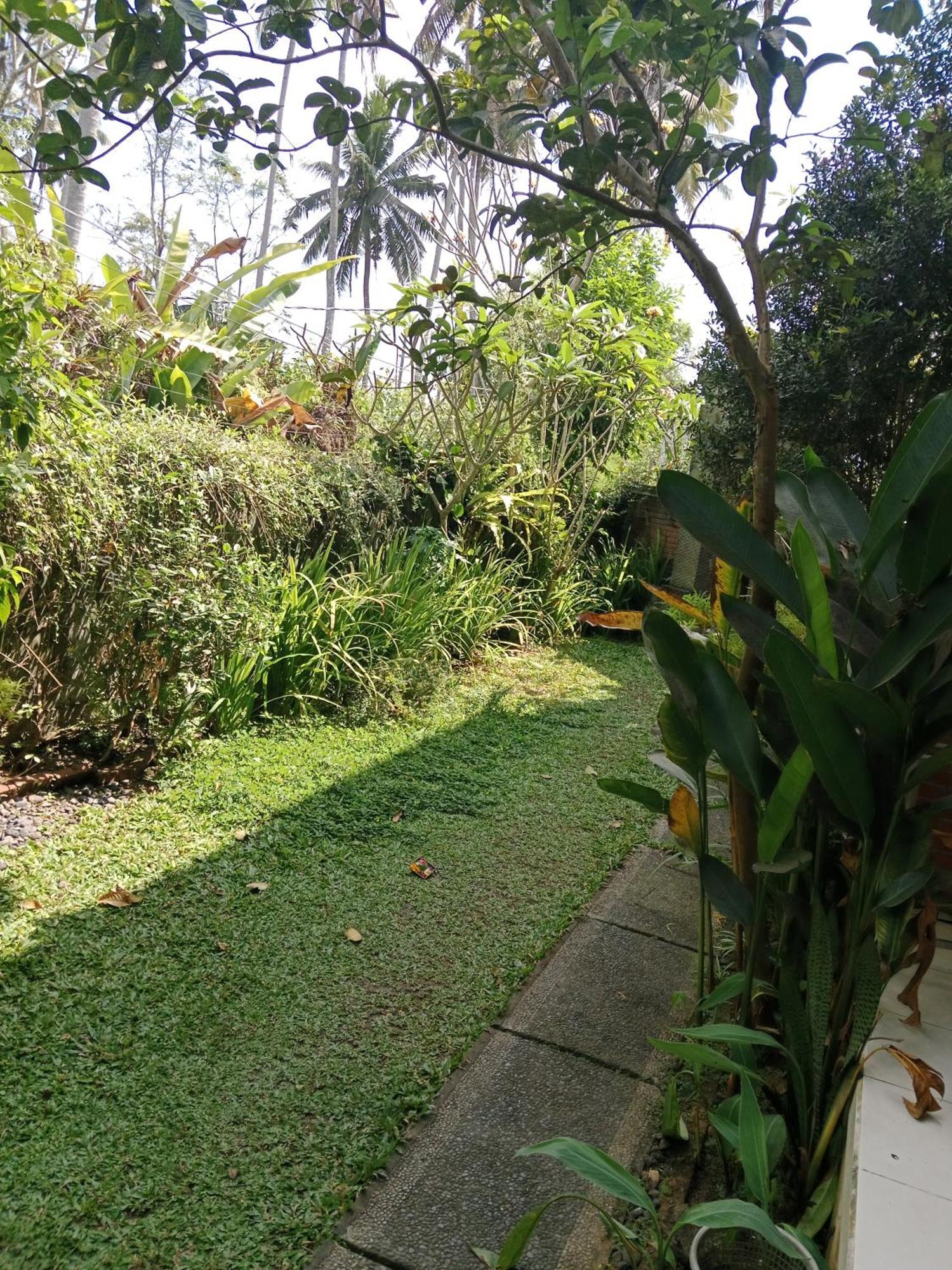 Sunrise Coconut House Guest house *