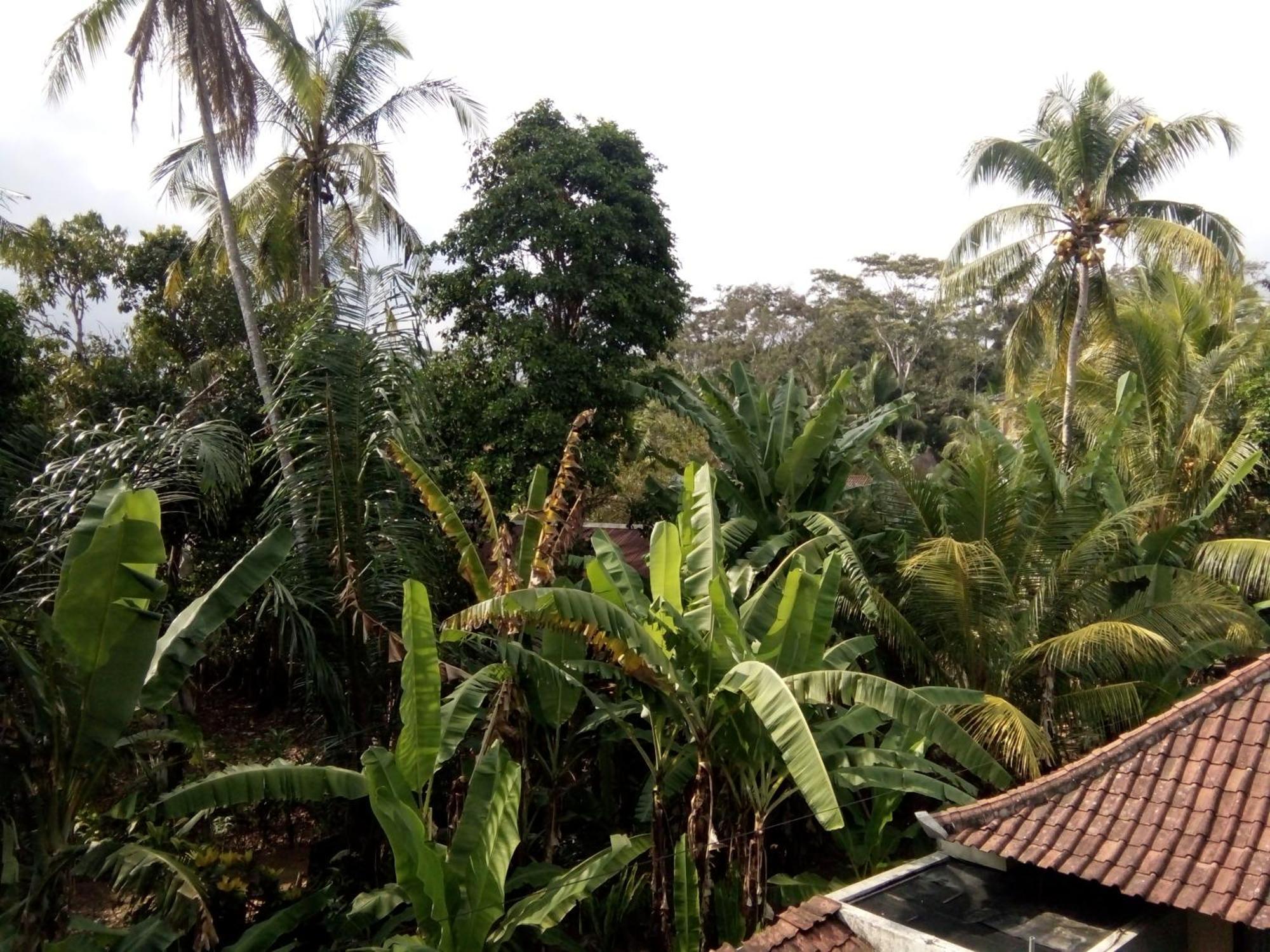 Bed & Breakfast Manada 3*