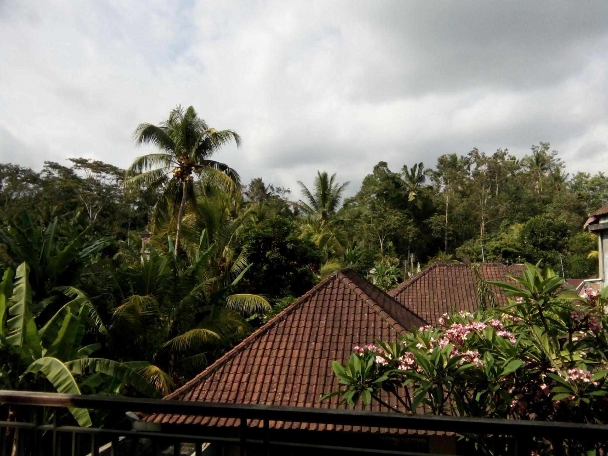 Bed & Breakfast Manada Ubud (Bali)