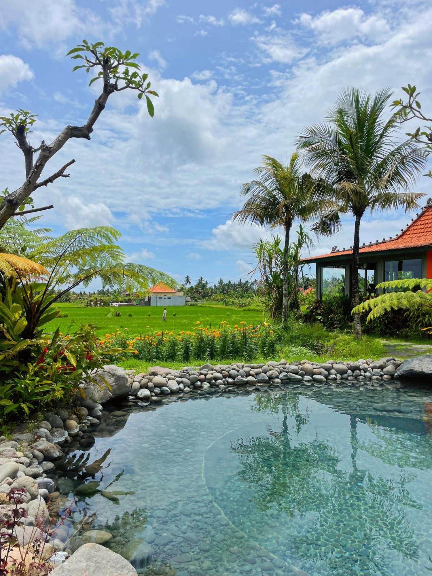 Arya Arkananta & Ubud