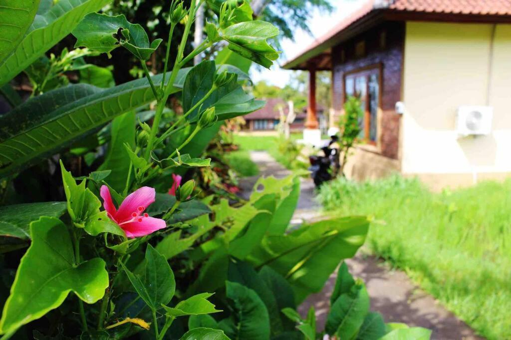 Lovely By Rare Angon Villa