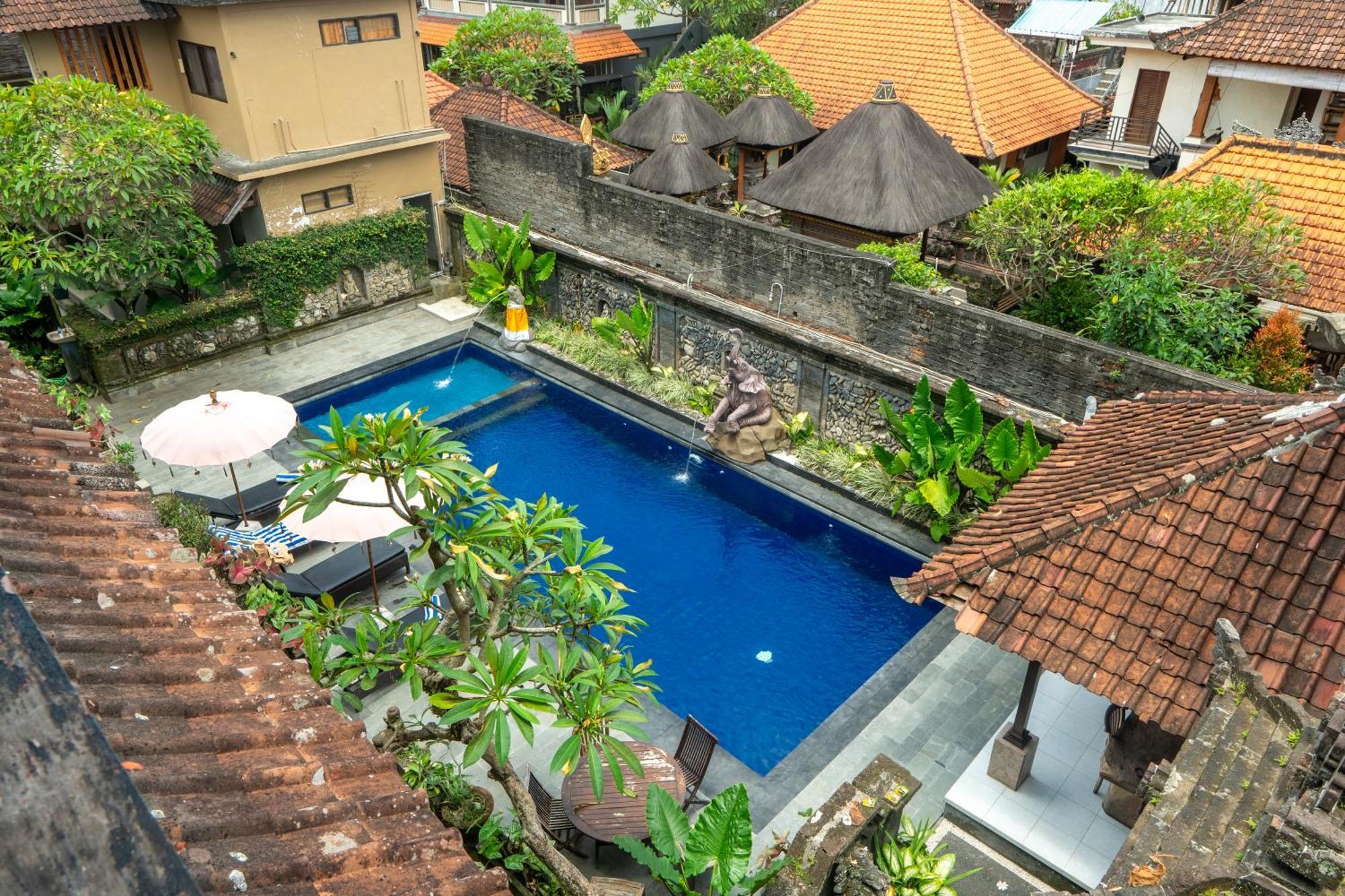 Warsa's Garden And