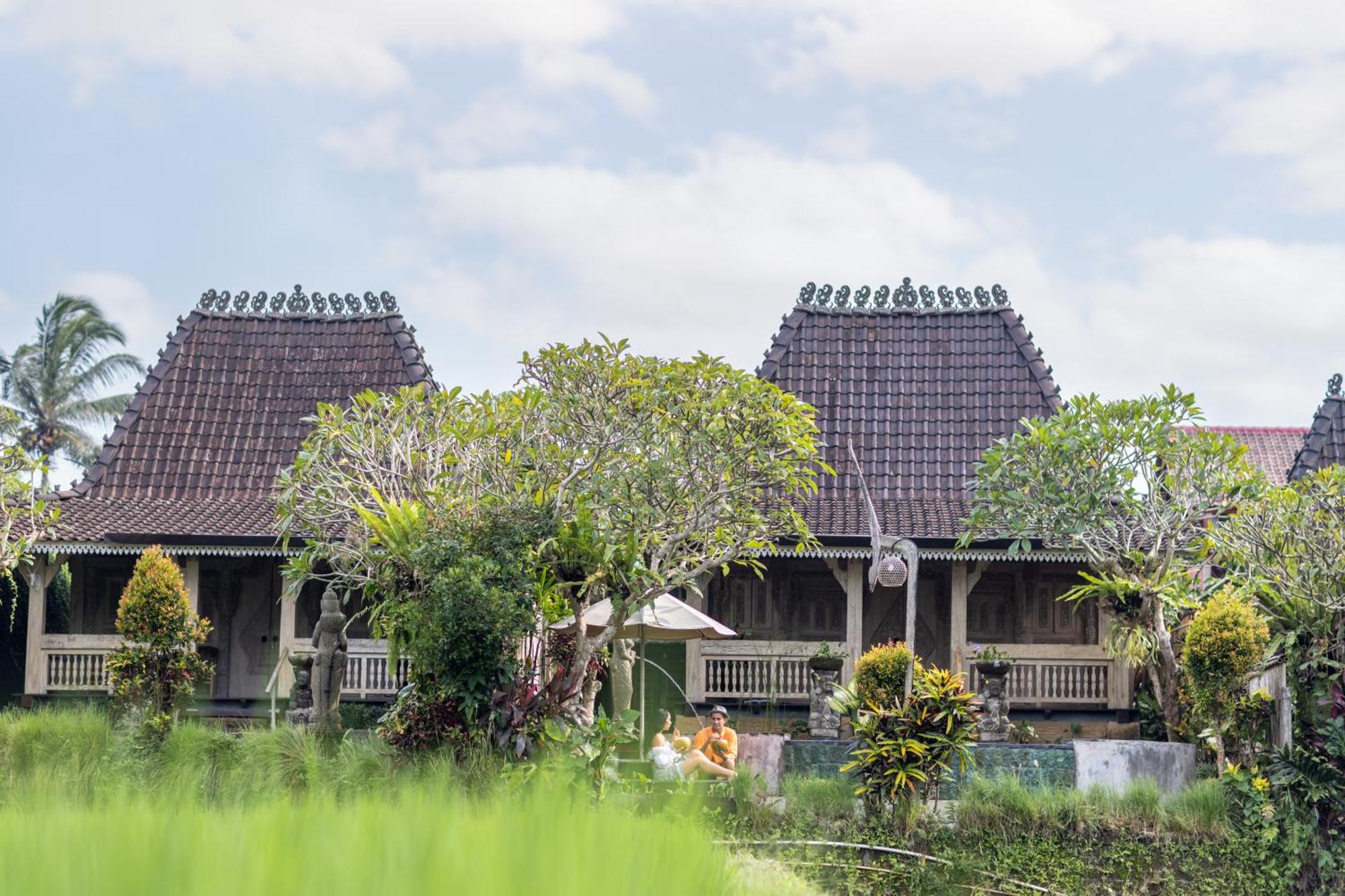 Wooden Ganeca By Pramana