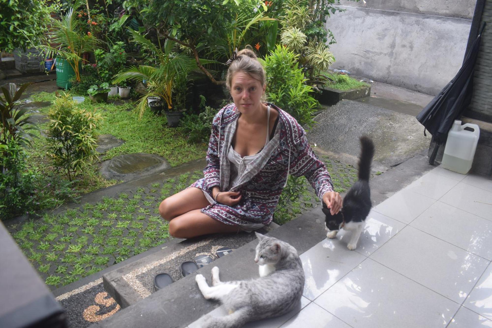 Guest house Werkudara Ubud (Bali)
