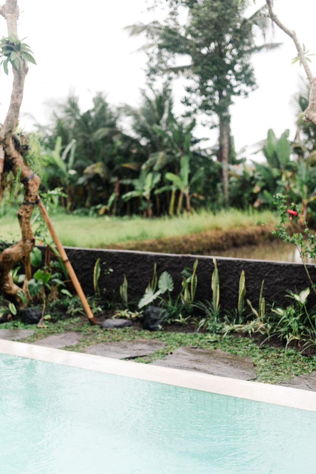 The Sayan Villa