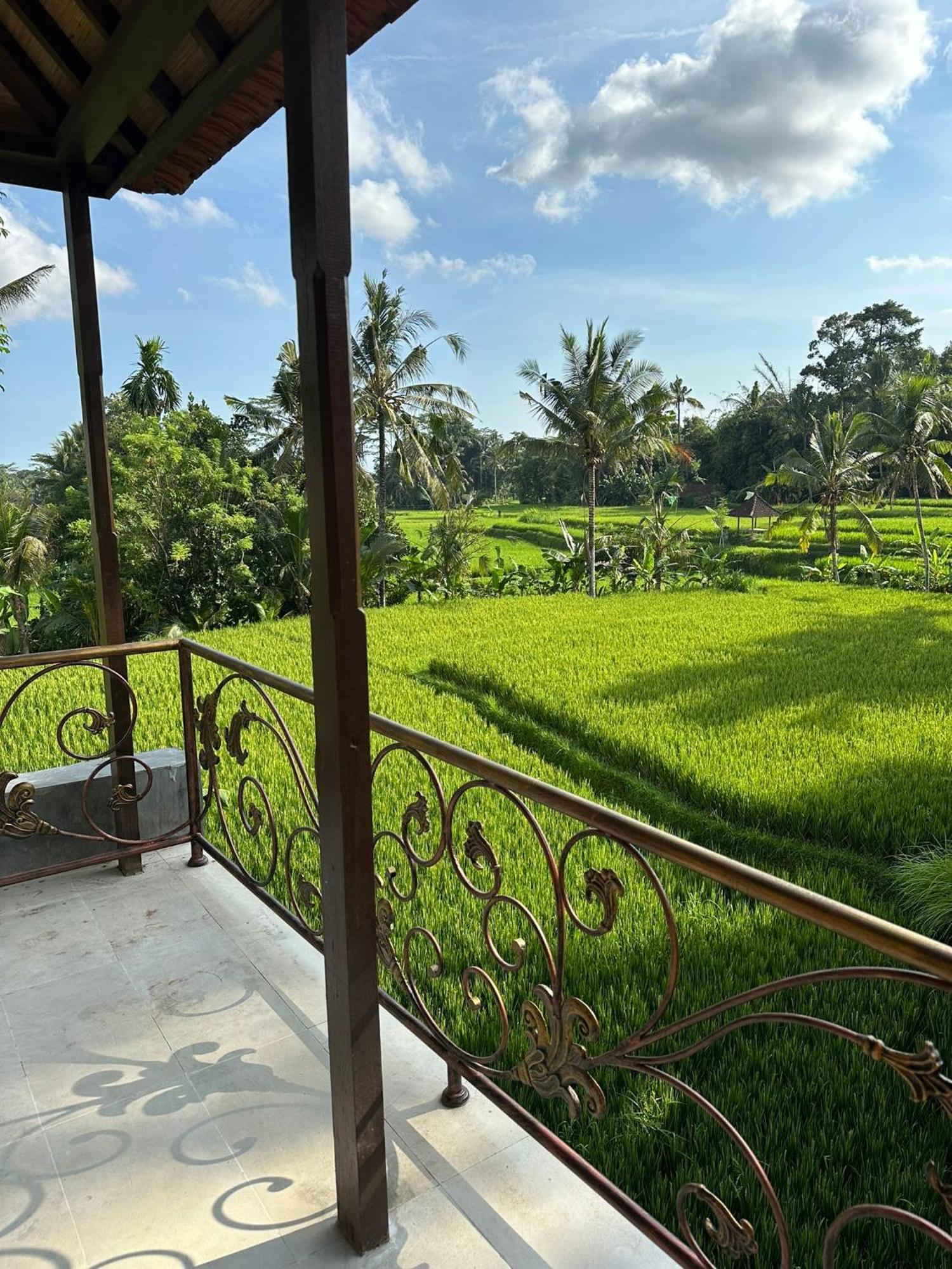 Akasha New Earth Haven Guest house
