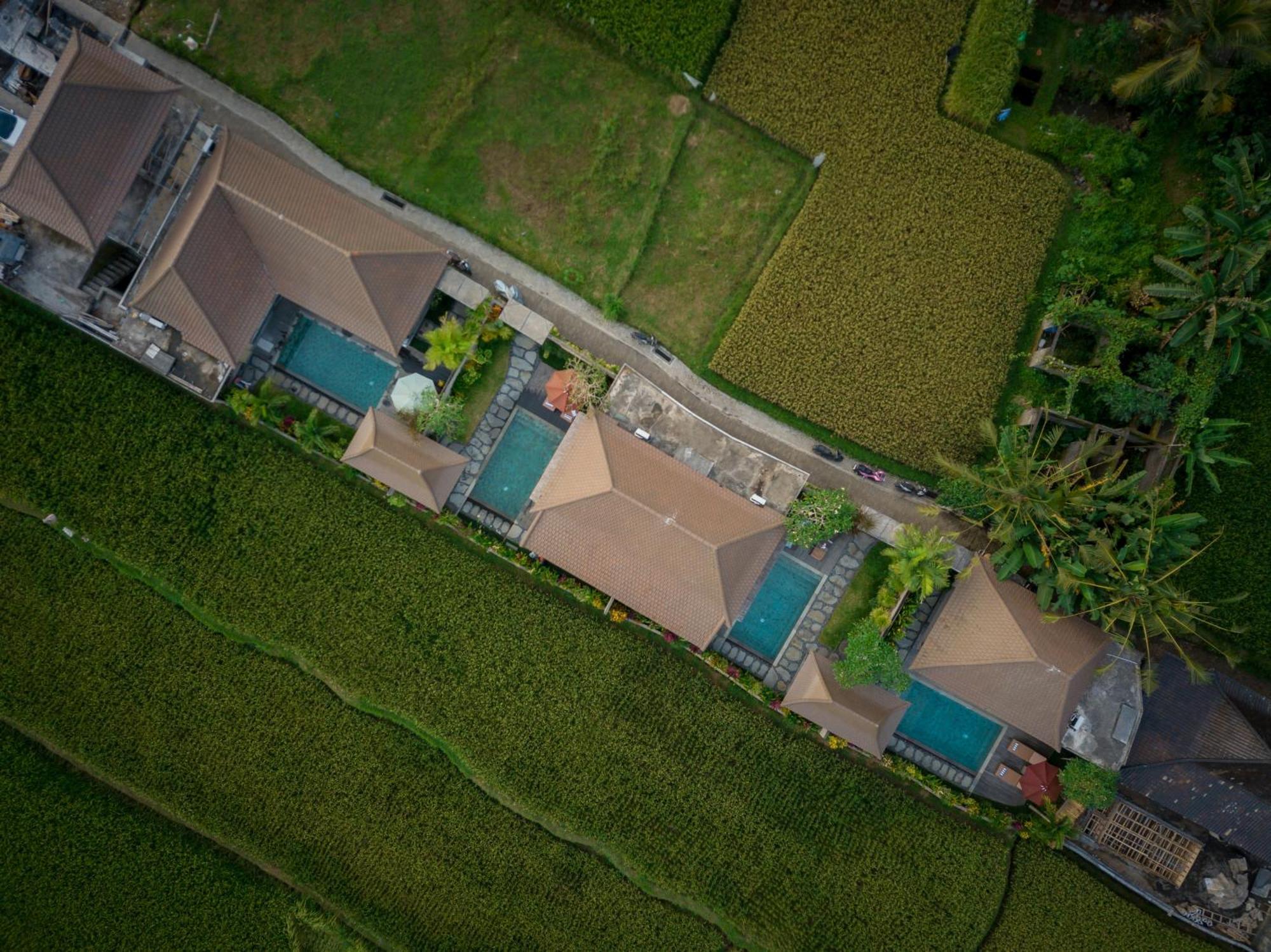 Happy Honeymoon Private Villa Ubud