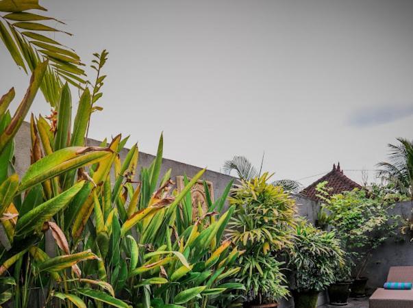 Pondok Pasek Private Bed & Breakfast