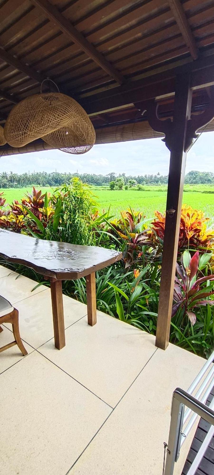 Villa With Rice Field Views In Ubud (Bali)