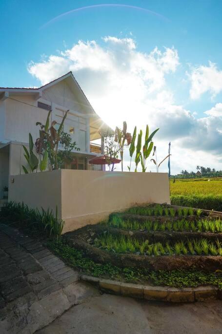 Padi, Stylish 1 Bedroom W/ Rice Paddy Views *