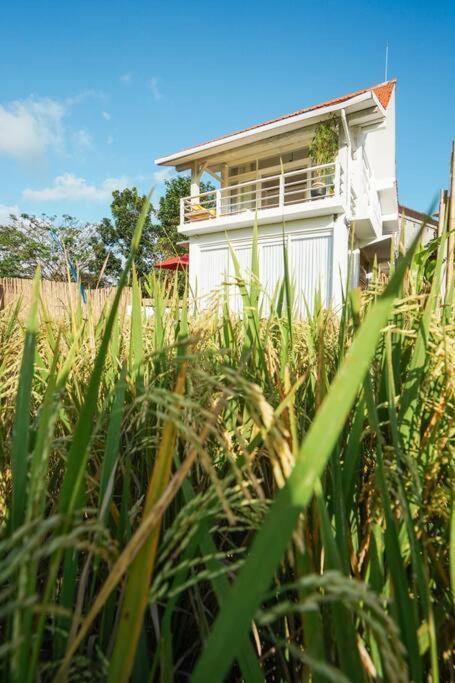 Villa Padi, Stylish 1 Bedroom W/ Rice Paddy Views *