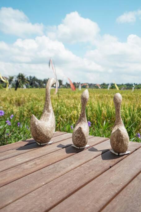 Padi, Stylish 1 Bedroom W/ Rice Paddy Views
