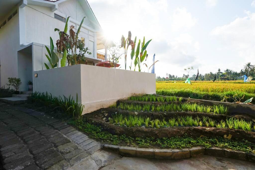 Padi, Stylish 1 Bedroom W/ Rice Paddy Views * Ubud (Bali)