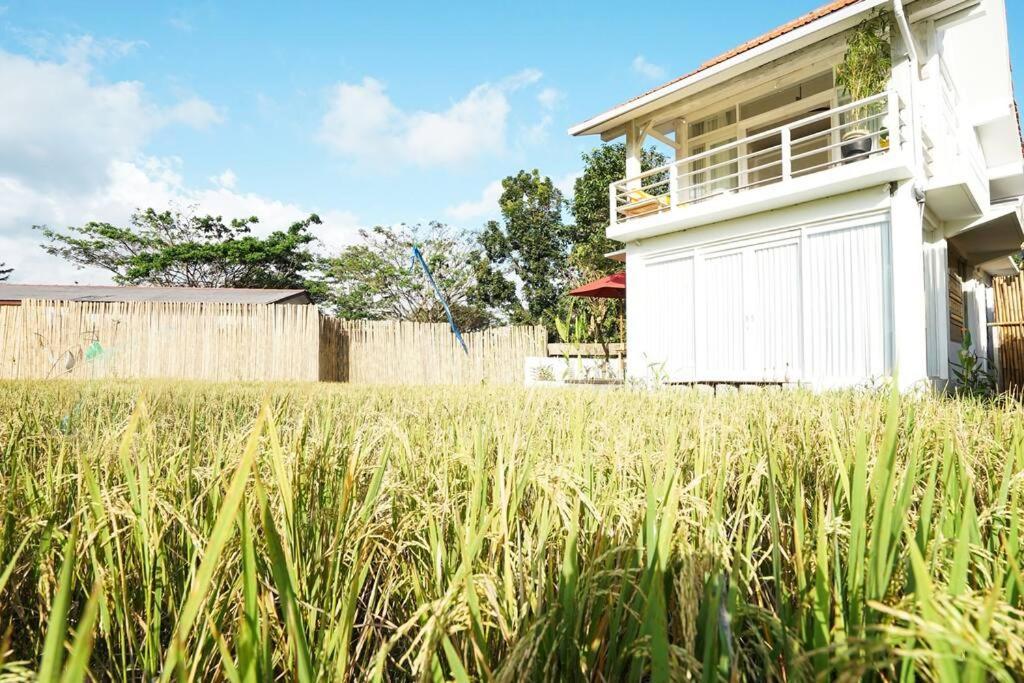 Padi, Stylish 1 Bedroom W/ Rice Paddy Views Villa