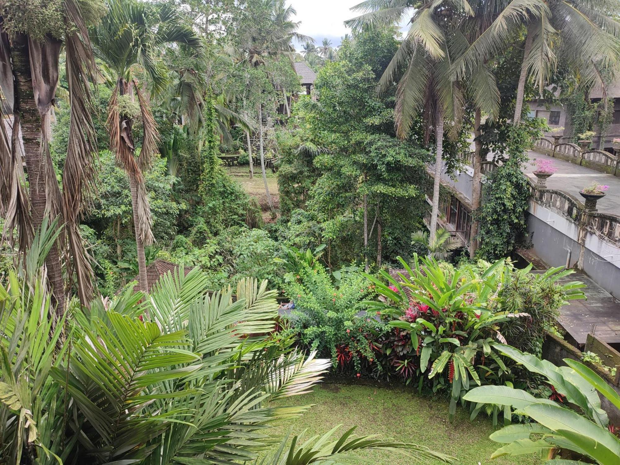 Guest house Sari Wangi Ubud (Bali)