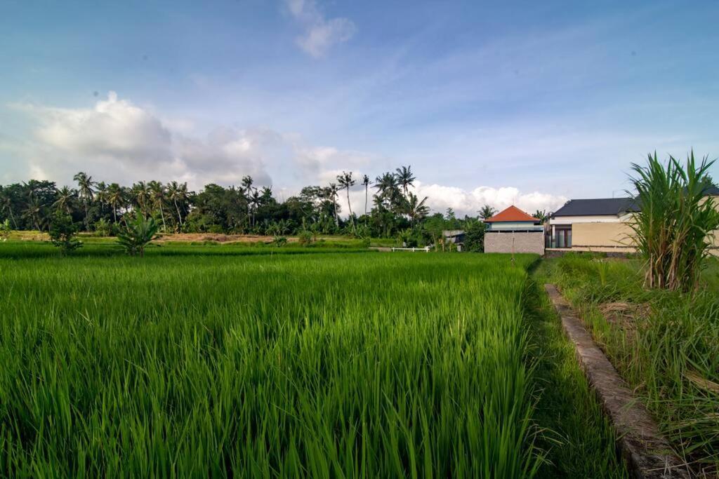 Villa Dewi 3 *