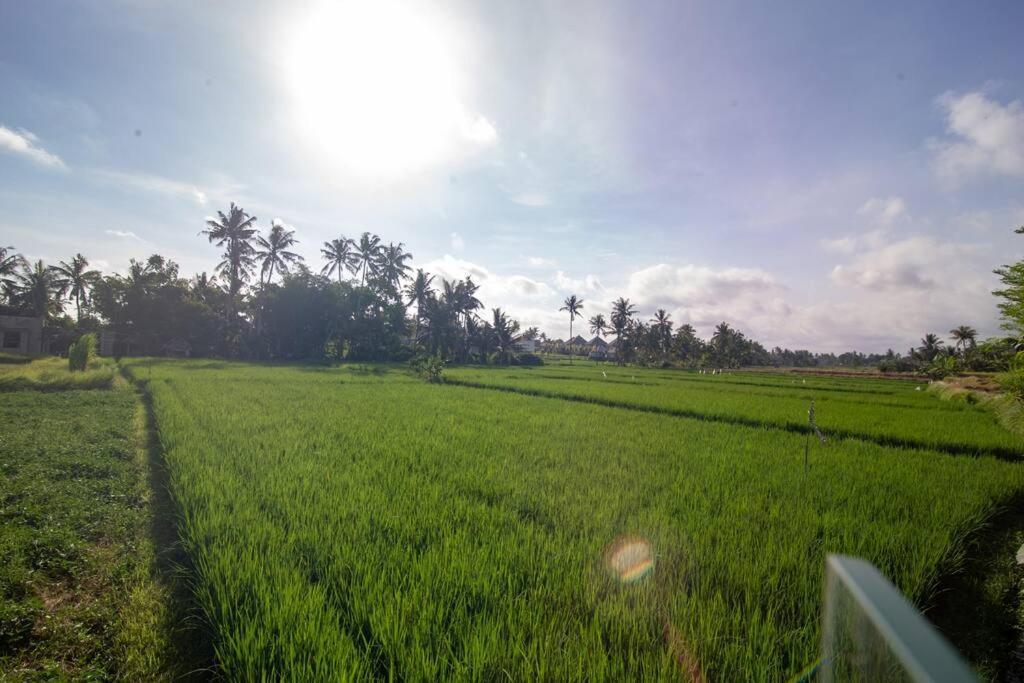Villa Dewi 3 *