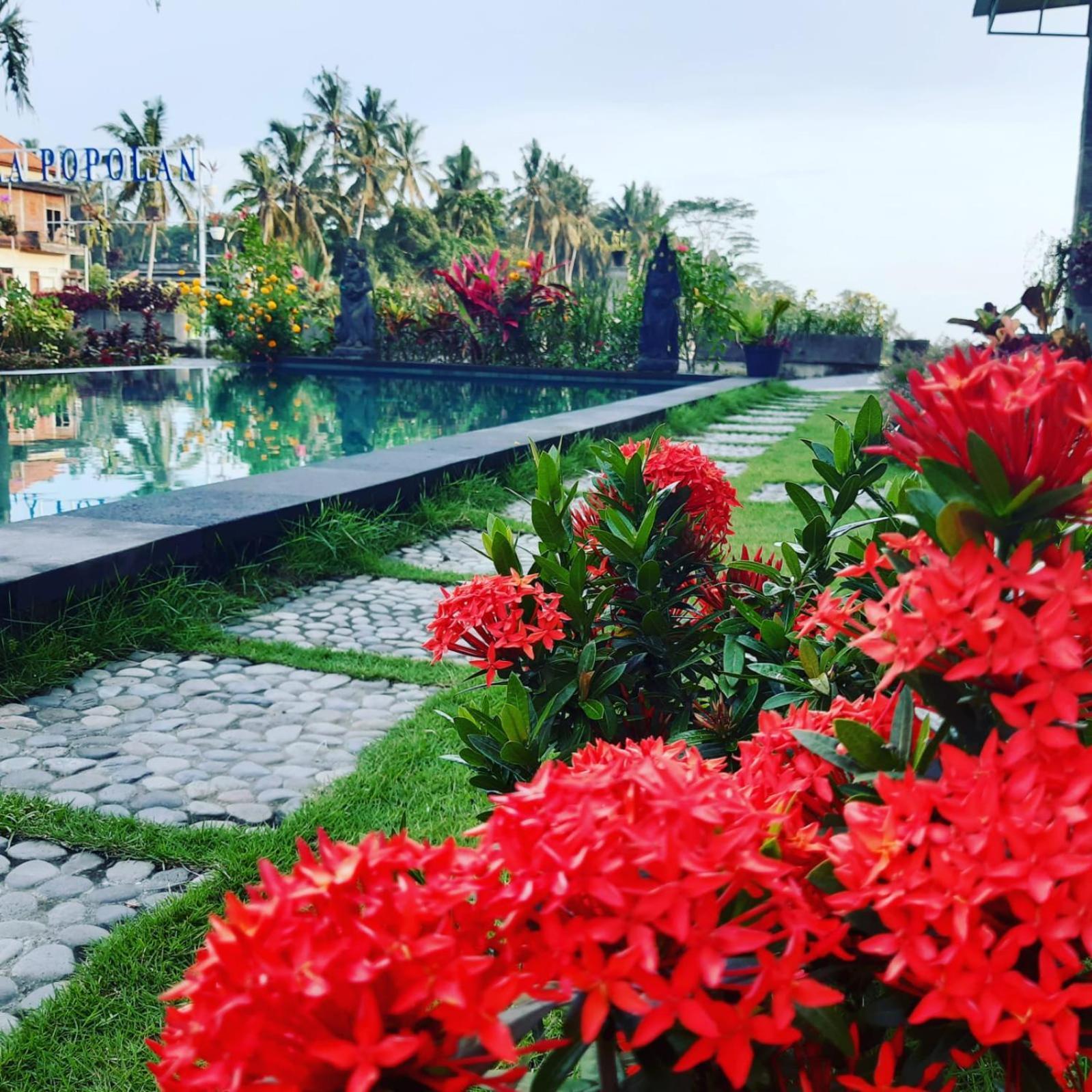 Popolan And Ubud