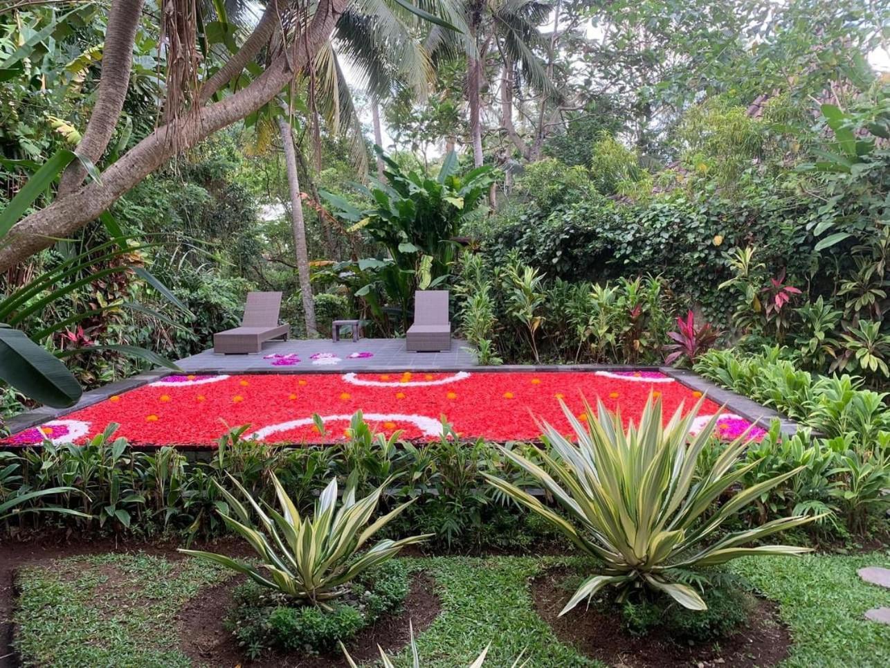 Mahesa Ubud