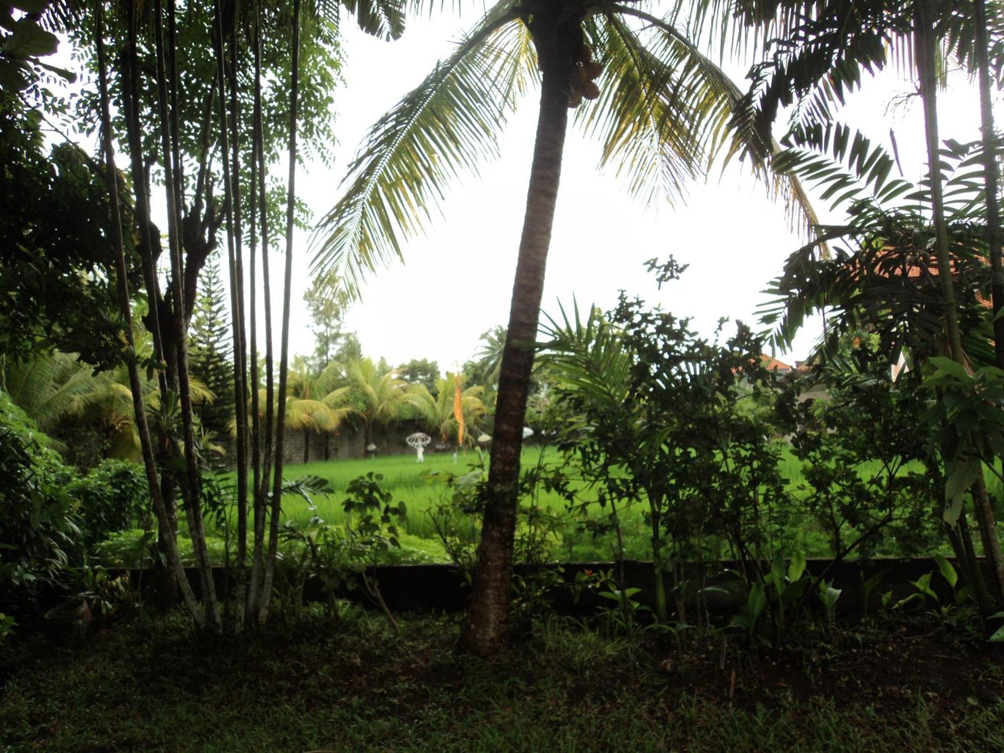 Guest house Bhuana Alit 2*