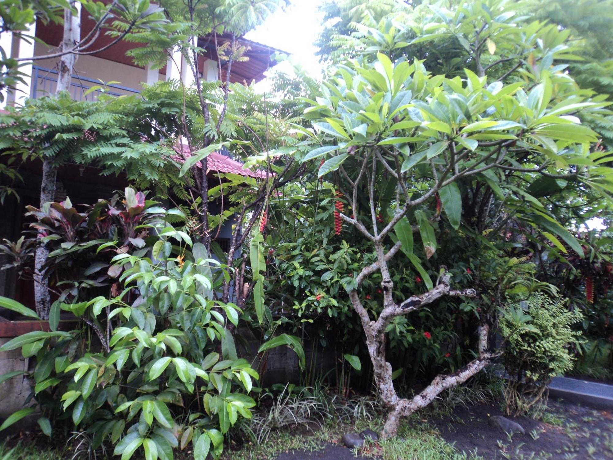 Bhuana Alit 2*
