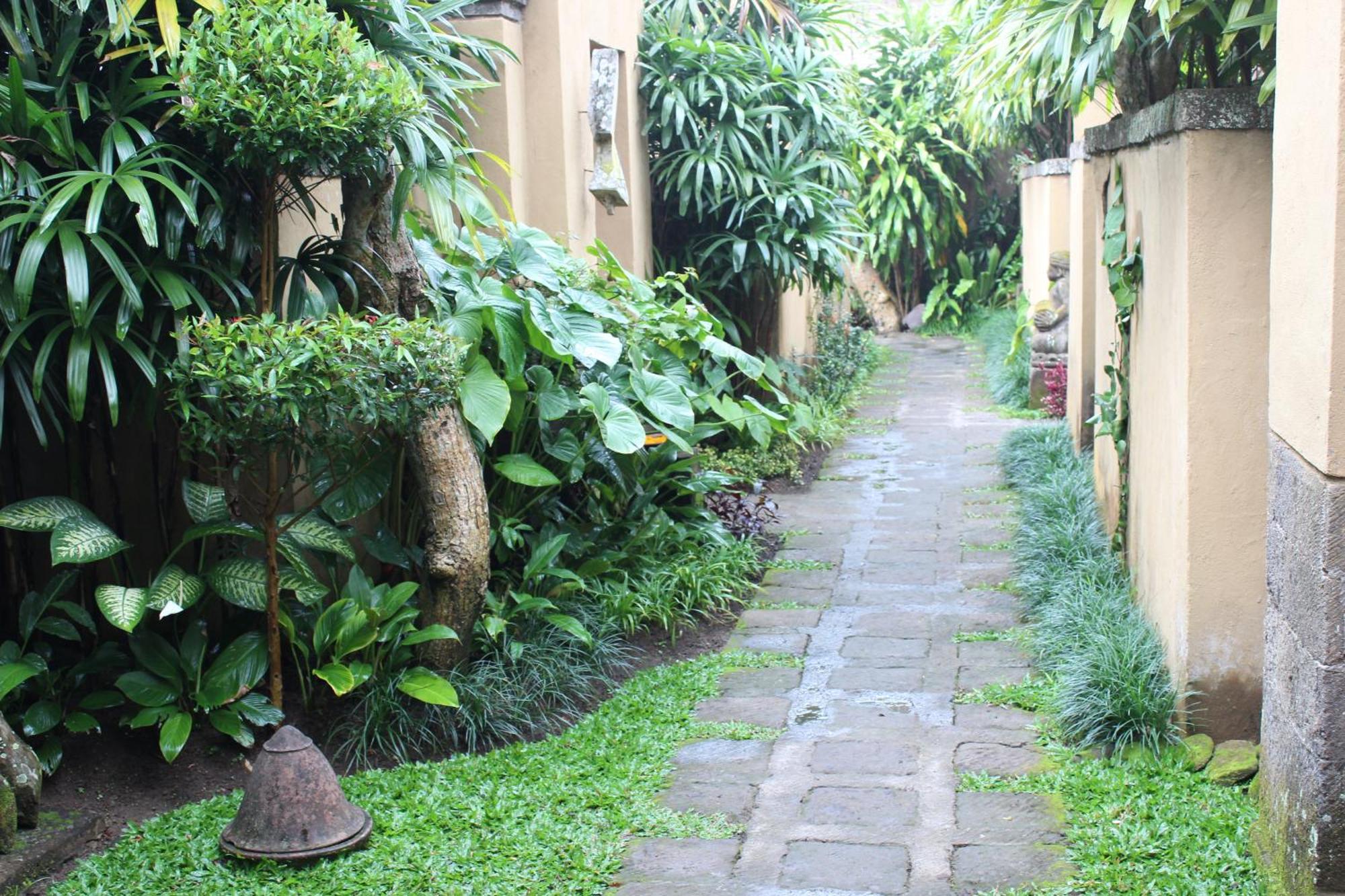 Resort The Sungu Resort&spa 4*