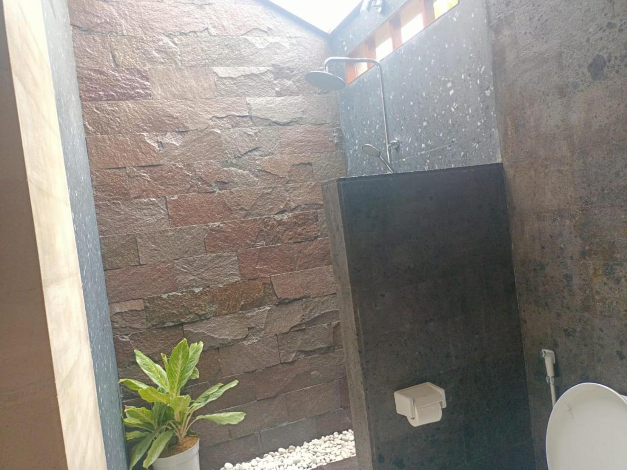 Dreams House *