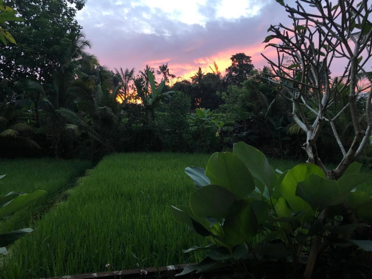 Casa Chandi *