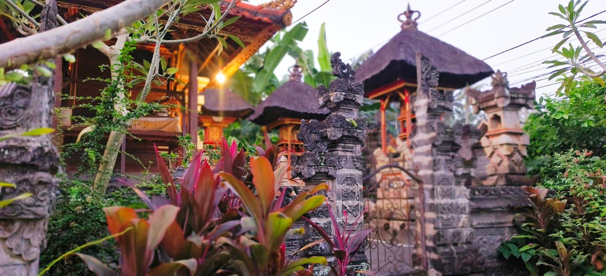 Homestay Mayka House