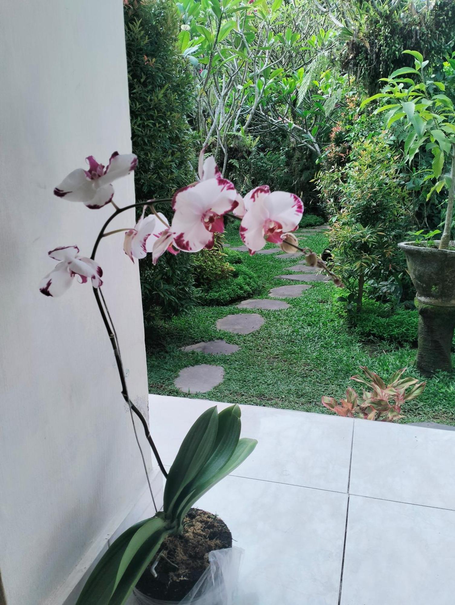 Cucu House Hospedagem domiciliar