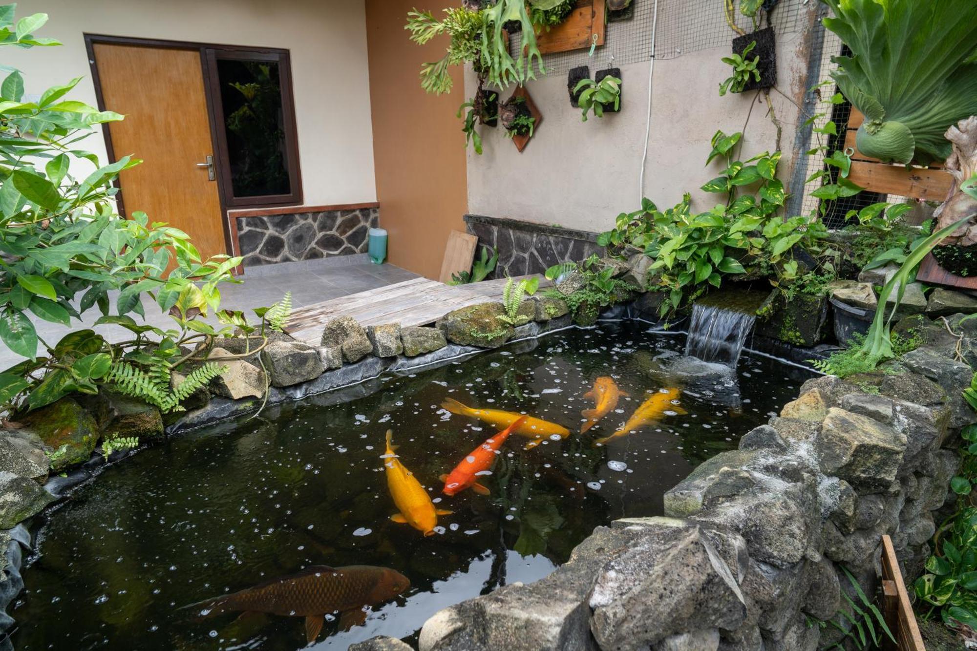 Bed & Breakfast Vinaya Ubud (Bali)