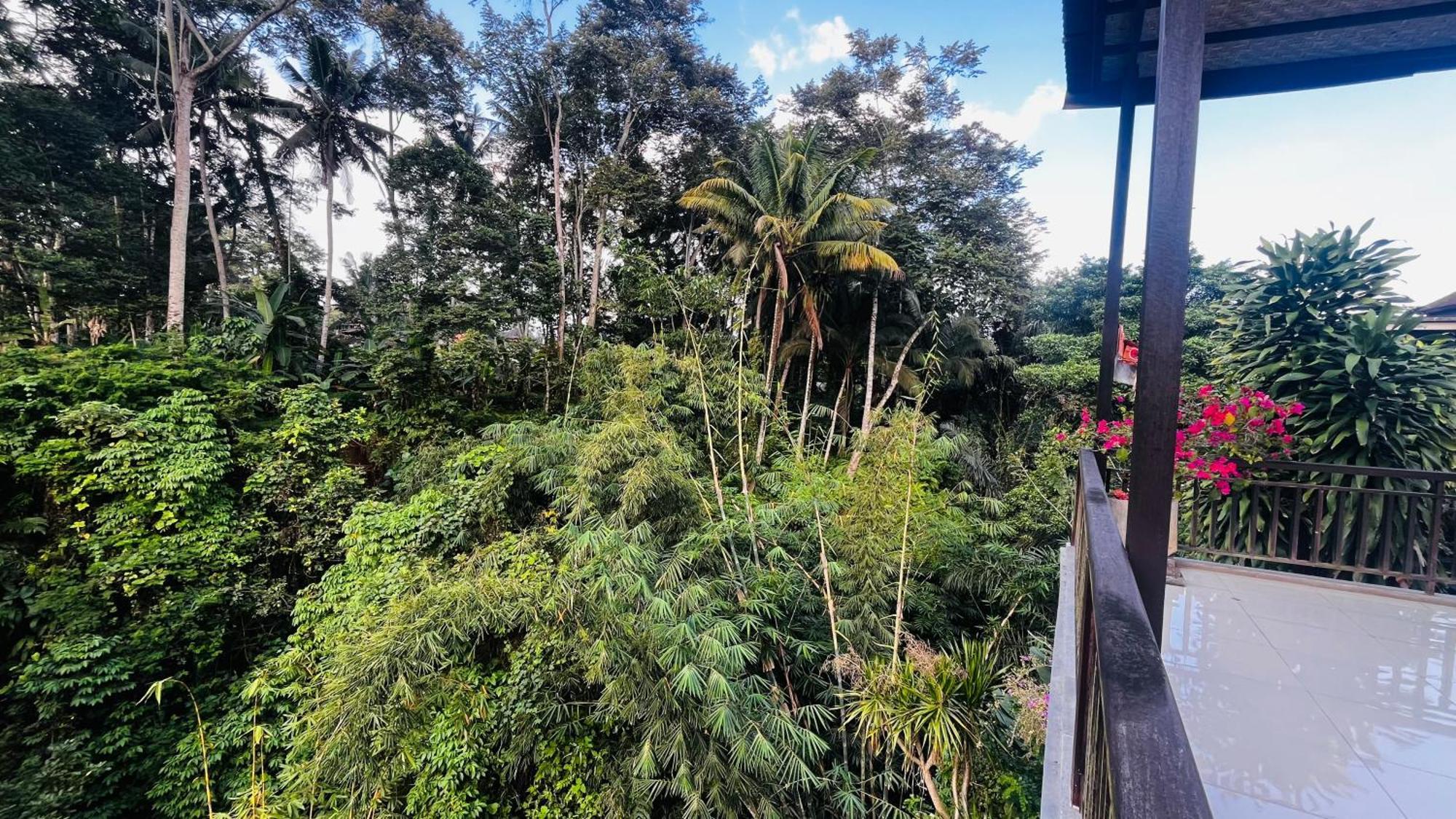 Holiday home Nadiya Jungle