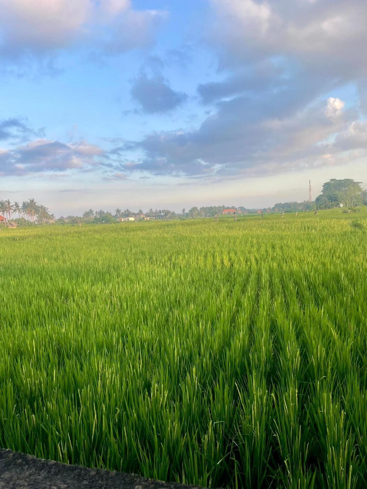 Arbathu Bed & Breakfast Ubud (Bali)