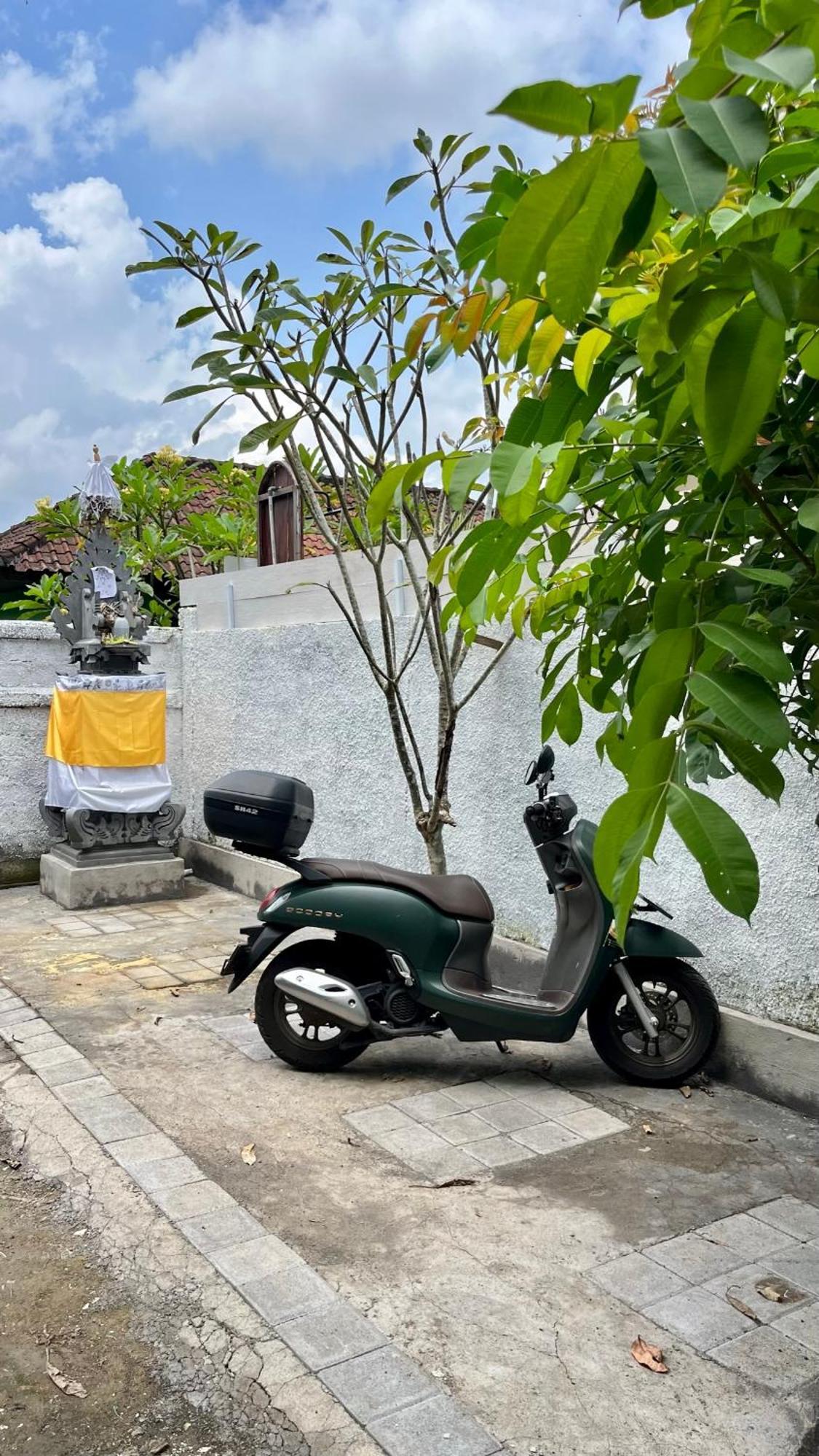 Hendra 1 * Ubud (Bali)