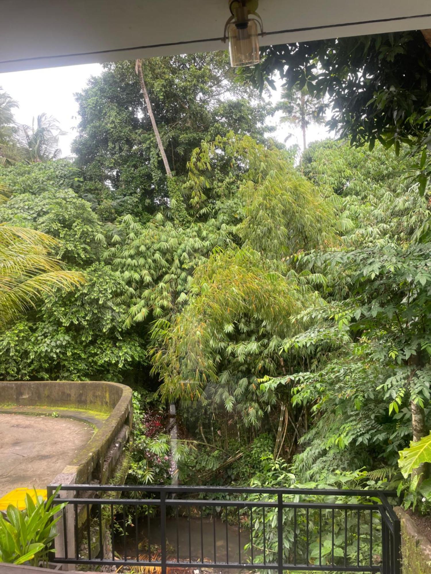 Rumah tetamu House 2 Floor Ubud (Bali)