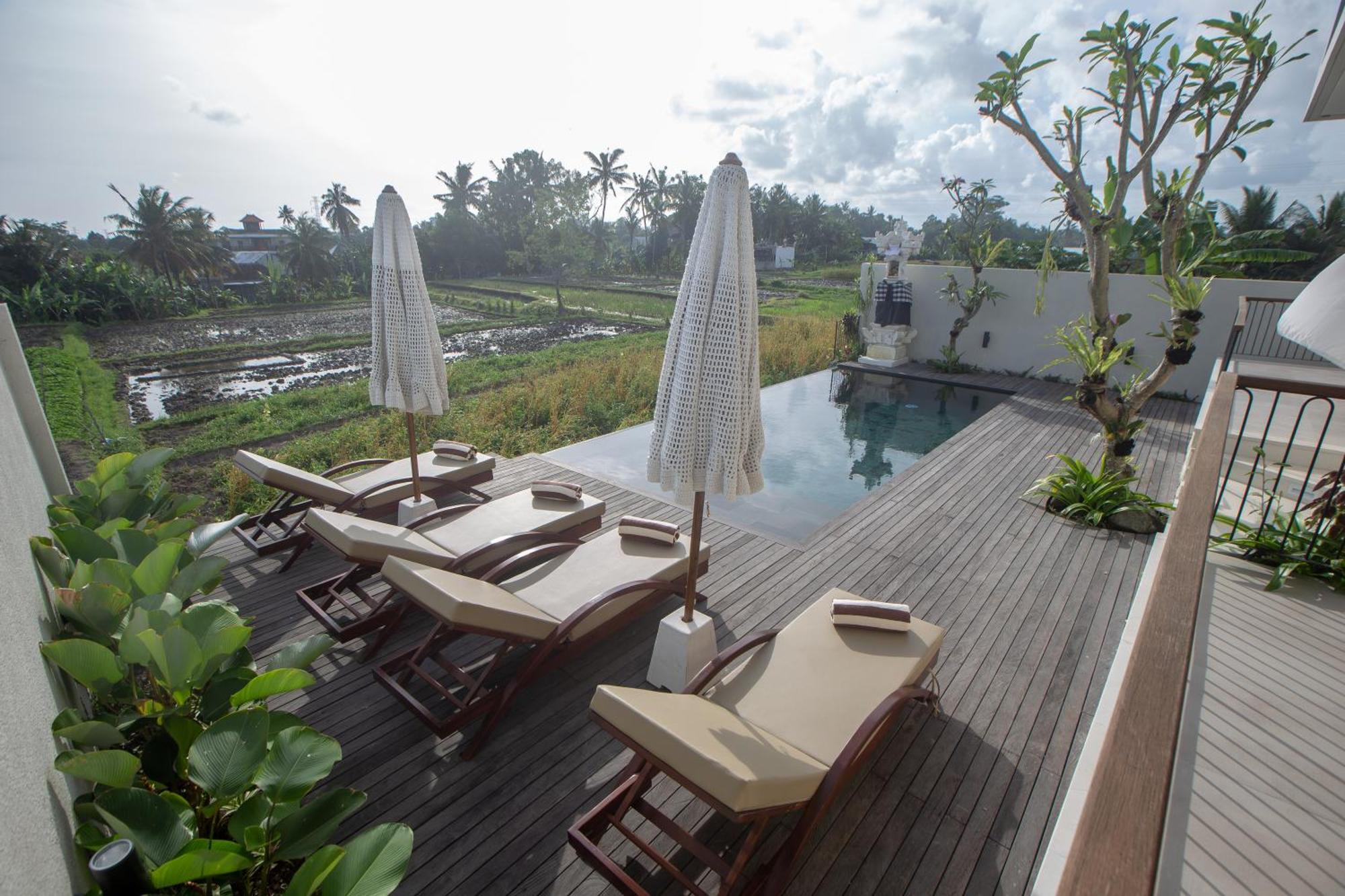 Momo * Ubud (Bali)