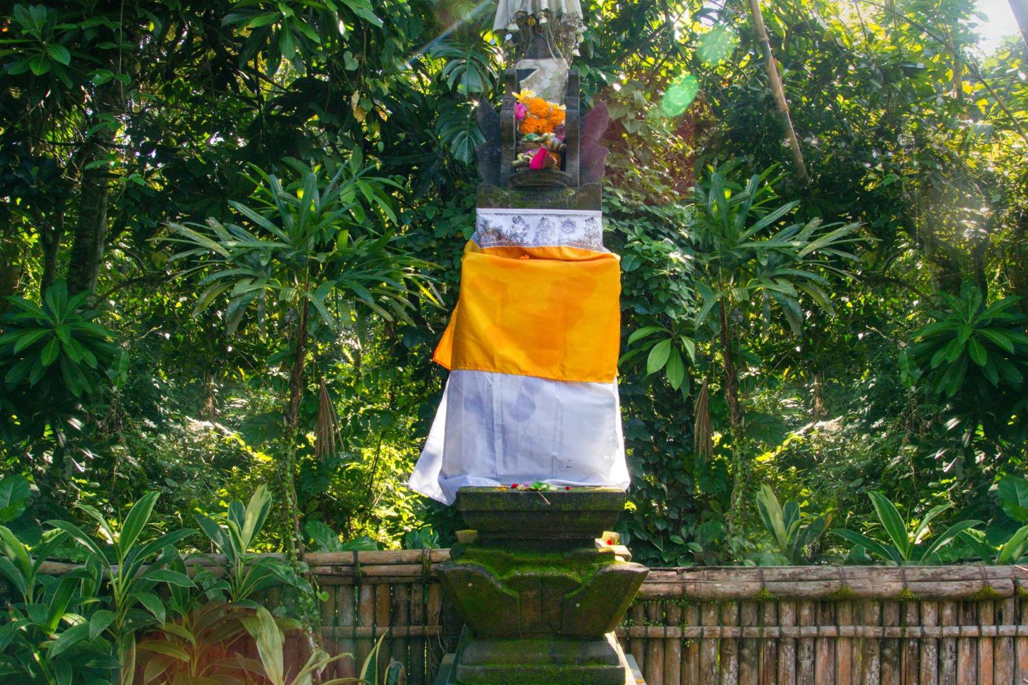 Parvati Retreat 3*