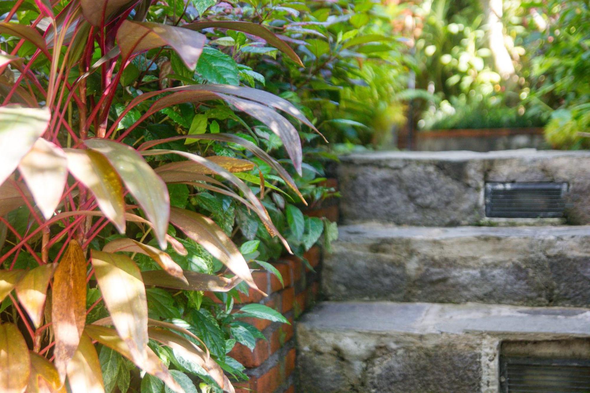 Bed & Breakfast Parvati Retreat 3*