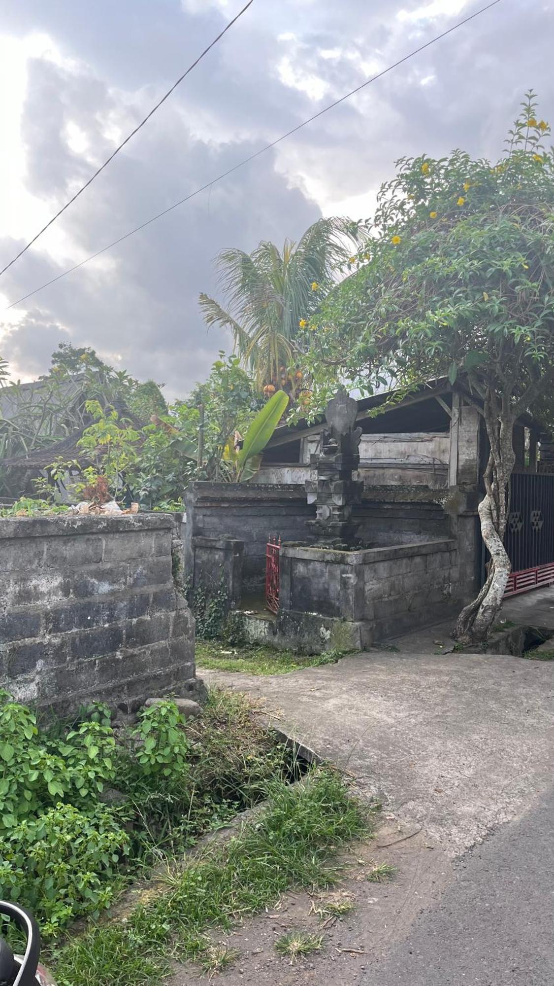 Gasthuis Bali Asli By Eps