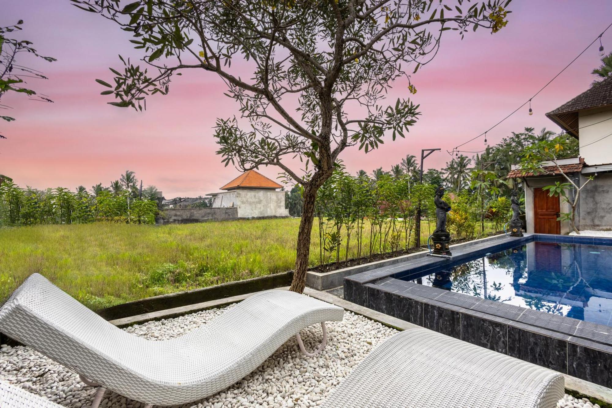 Guest house D Archa