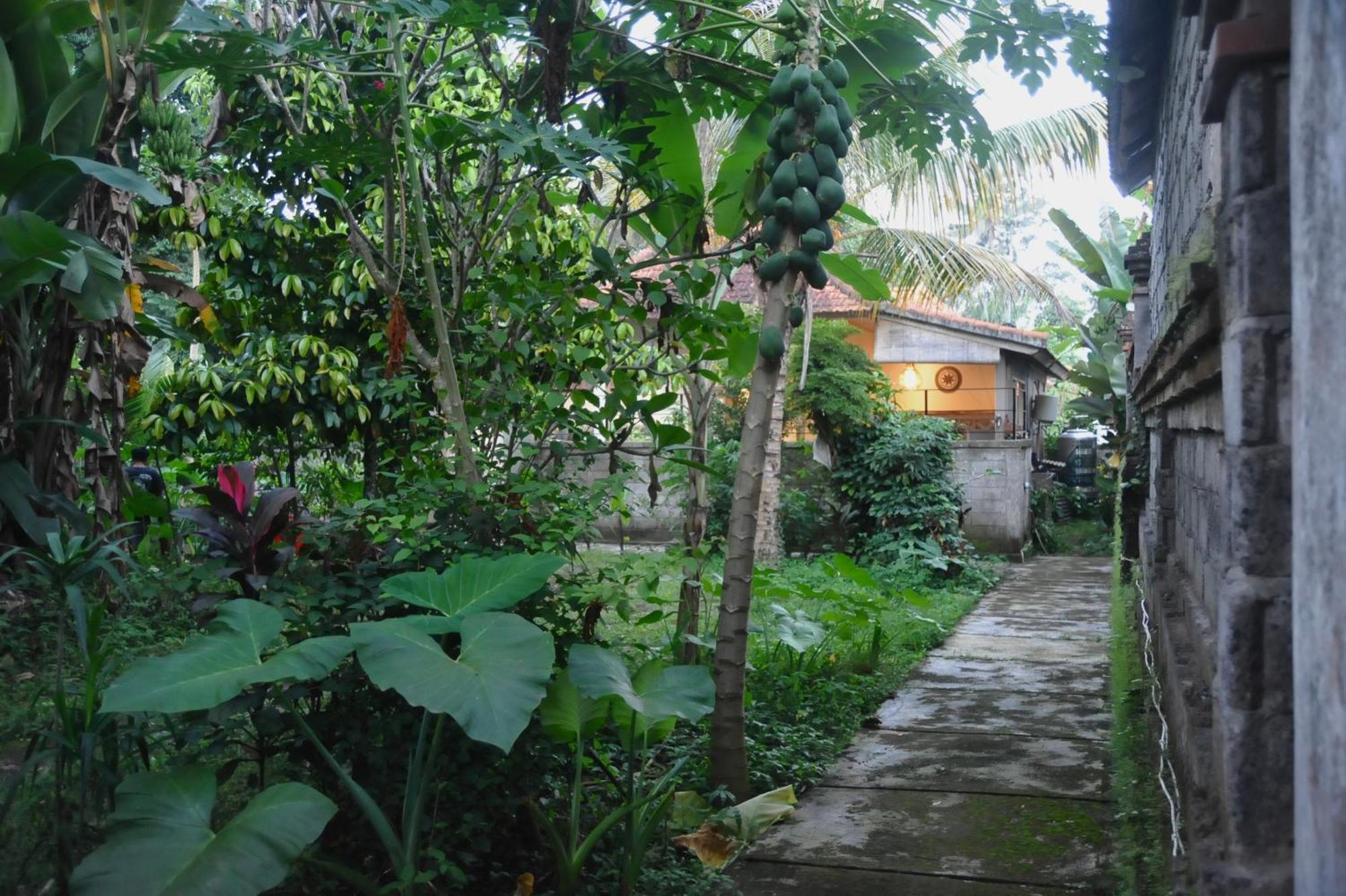 Ampi House * Ubud (Bali)