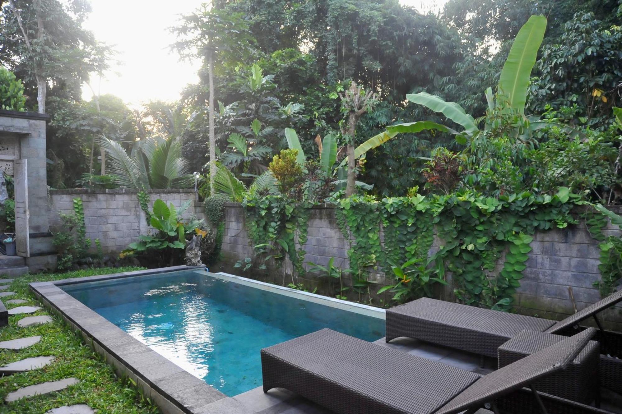 Ampi House *