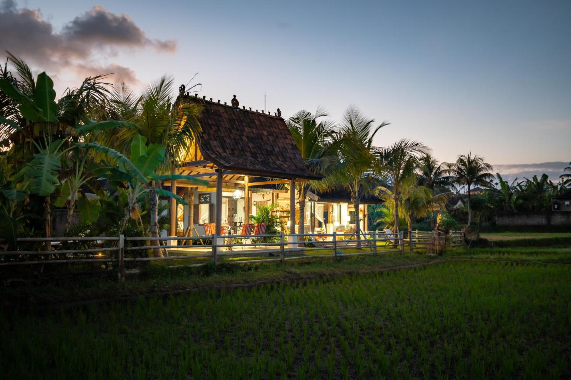 Kelapa Di Sawah By Travellink Bali Villa *